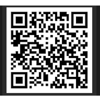 凤凰证券有限责任公司