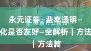 永元证券—费率透明—量化是否友好—全解析｜方法篇