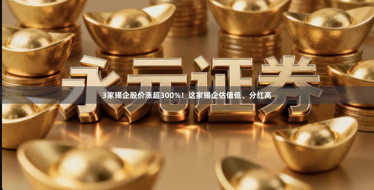 3家锡企股价涨超300%！这家锡企估值低、分红高